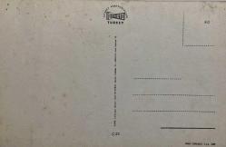 AŞKIN SEVGİNİN VE ROMATİZMİN SİMGESİ GÜL KARTPOSTALI,ARKASINA YAZILMAMIŞ,RENKLİ, 11 X 15 CM EBADINDA