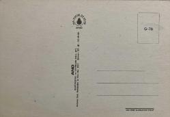 AŞKIN SEVGİNİN VE ROMATİZMİN SİMGESİ GÜL KARTPOSTALI,ARKASINA YAZILMAMIŞ,RENKLİ, 11 X 15 CM EBADINDA