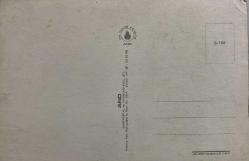 AŞKIN SEVGİNİN VE ROMATİZMİN SİMGESİ GÜL KARTPOSTALI,ARKASINA YAZILMAMIŞ,RENKLİ, 11 X 15 CM EBADINDA