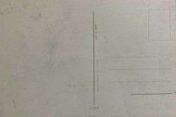 AŞKIN SEVGİNİN VE ROMATİZMİN SİMGESİ GÜL KARTPOSTALI,ARKASINA YAZILMAMIŞ,RENKLİ, 11 X 15 CM EBADINDA