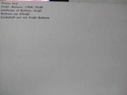 SANAT KARTPOSTALI-OSMAN ORAL TARAFINDAN ÇİZİLMİŞ EREĞLİ BOZHANE(1968) RESMİ,ARKASINA YAZILMAMIŞ,RENKLİ, 11 X 15 CM EBADINDA