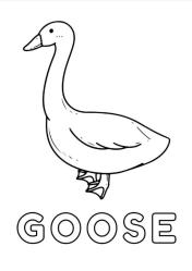 Okul Öncesi Boyama Kitapları Seti (10 Kitap)