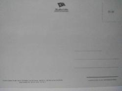 YEMYEŞİL YAPRAKLI AĞAÇLARLA DOLU ORMAN VE GÖL KARTPOSTALI,ARKASINA YAZILMAMIŞ,RENKLİ, 11 X 15 CM EBADINDA