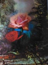 AŞKIN SEVGİNİN VE ROMANTİZMİN SİMGESİ GÜL KARTPOSTALI,ARKASINA YAZILMIŞ,RENKLİ, 11 X 15 CM EBADINDA