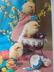 RENGARENK PASKALYA YUMURTALARI YANINDAKİ SARI CİVCİVLER KARTPOSTALI,ARKASINA YAZILMAMIŞ,RENKLİ, 10 X 14 CM EBADINDA