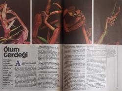 Erkekçe Aylık Aktüalite Sinema Tiyatro Müzik ve Magazin Dergisi - Ağustos 1985 - Ahu Tuğba - Nazan Ayas - Syllvia Kristel - Erkekçe Söyleşi - İbrahim Tatlıses - Yunanistan Seyahatnamesi - Mikonos ve Atina'da Çılgın Geceler Nasıl Yaşanıyor - Patlamaya Çeyrek Kala Fethiye ve Marmaris  - Avrupa Spor Malzemeleri Piyasada - Sivrisineklere Ölüm! - Ayın Güzeli: Ahu Tuğba - Ölüm Meleği Mengele - Doktorlar ve Hastaneler - Nazan Ayas - Alooo! Ben Frankeistein  - Bağışlanmak - Ölüm Gerdeği - Mata Hari Salgını - Büyüklere Masallar - Erkekçe'de Bu Ay - Sevgili Erkekçe - Kokteyl - Plaklar, Kitaplar - Piyasada Yenilikler - Filmler - Neşeli Fıkralar - Arthur Clark fotoğraf ve haberi - Tam Takım Dergi