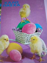 RENGARENK PASKALYA YUMURTALARI VE MİNİK SARI CİVCİVLER KARTPOSTALI,ARKASINA YAZILMAMIŞ,RENKLİ, 9 X 14 CM EBADINDA