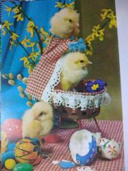 RENGARENK PASKALYA YUMURTALARI VE MİNİK SARI CİVCİVLER KARTPOSTALI,ARKASINA YAZILMAMIŞ,RENKLİ, 9 X 14 CM EBADINDA