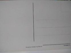 RENGARENK PASKALYA YUMURTALARI VE MİNİK SARI CİVCİVLER KARTPOSTALI,ARKASINA YAZILMAMIŞ,RENKLİ, 9 X 14 CM EBADINDA