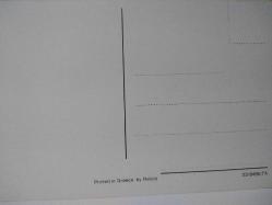 RENGARENK PASKALYA YUMURTALARI VE MİNİK SARI CİVCİVLER KARTPOSTALI,ARKASINA YAZILMAMIŞ,RENKLİ, 9 X 14 CM EBADINDA