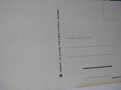 RENGARENK ÇİÇEKLER ARASINDA SEPETİN İÇİNDEKİ MİNİK SARI CİVCİVLER KARTPOSTALI,ARKASINA YAZILMAMIŞ,RENKLİ, 9 X 14 CM EBADINDA