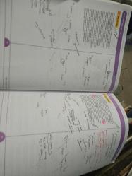 YDS 2018-2023 YKS- DİL'DE SON 6 YILIN SINAVLARI-SON 6 YILIN 12 SORU TİPİNE GÖRE ÇIKMIŞ SORULAR