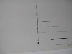 RENGARENK ÇİÇEKLER ARASINDA SEPETİN İÇİNDEKİ MİNİK SARI CİVCİVLER KARTPOSTALI,ARKASINA YAZILMAMIŞ,RENKLİ, 9 X 14 CM EBADINDA