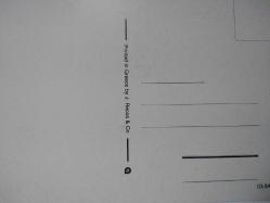 RENGARENK ÇİÇEKLER ARASINDA SEPETİN İÇİNDEKİ MİNİK SARI CİVCİVLER KARTPOSTALI,ARKASINA YAZILMAMIŞ,RENKLİ, 9 X 14 CM EBADINDA