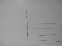 RENGARENK ÇİÇEKLER ARASINDA SEPETİN İÇİNDEKİ MİNİK SARI CİVCİVLER KARTPOSTALI,ARKASINA YAZILMAMIŞ,RENKLİ, 9 X 14 CM EBADINDA