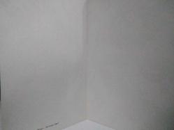 SELİMİYE CAMİİ TÜRK ÇİNİ SANATINDAN ÖRNEK KARTPOSTALI,İÇ KISMINA YAZILMAMIŞ,KAPAKLI,RENKLİ, 9,5 X 14,5 CM EBADINDA