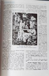 RESİMLİ TÜRK EDEBİYATI TARİHİ 1 - 2 CİLT takım