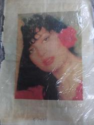 Türkan Şoray ile Rüçhan Adlı  Çeşitli Gazete Dergi ve Haber Sayfalarından kesilmiş 5 adet fotoğraflı 20*30cm ebadında arkalı önlü boş kağıda yapıştırılmıştır.
