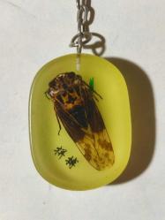 5769-REÇİNE İÇERSİNDE BÖCEK FOSİLİ ANAHTARLIK