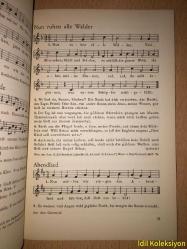 Der Kleine Bruder Singer - Barenreiter Verlag  - Almanca Kitap (Küçük Kardeş Şarkıcı)