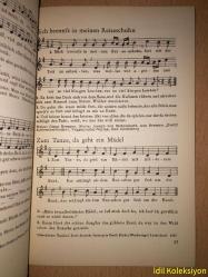 Der Kleine Bruder Singer - Barenreiter Verlag  - Almanca Kitap (Küçük Kardeş Şarkıcı)