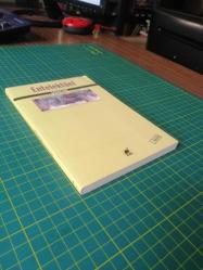 Entelektüel - Sürgün, Marjinal, Yabancı