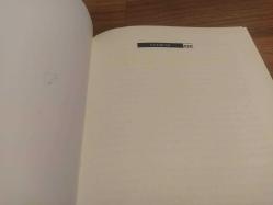 Yağmur Akşamları (isme imzalı)