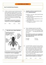 2026 7. Sınıf Bursluluk Sınav Seti (6 Fasikül Kitap)