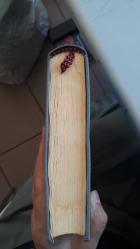 Kur'an-ı Kerim ve Türkçe Meali