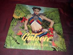 GÜLŞEN BANGIR BANGIR PLAK 33 DEVİR  ( SIFIR AMBALAJ )