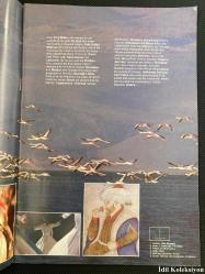 Fall in Love With a Country TURKEY - İngilizce Rehber , Turizm ve Gezi Dergisi - Ministry of Tourism of The Turkish Republic - Seyhan Şahinoğlu (Bir Ülkeye Aşık Olun TÜRKİYE)