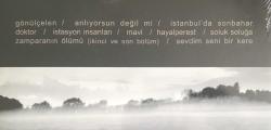 Teoman – Gönülçelen, Plak, LP, Vinyl, Ambalajında, Sıfır