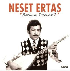 Neşet Ertaş Bozkırın Tezenesi 2 Plak