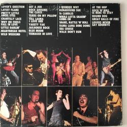Sha Na Na - The Golden Age Of Rock 'n' Roll / US 1973 / 2xLP