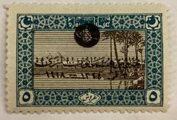 1918 Sultan Vahdettin Osmanlı 5 kuruş sürşarjlı MNH Pul damgasız 23.39$ (katalog fiyatı)