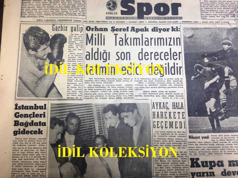 Ochiq tukli mushukning fotosurati