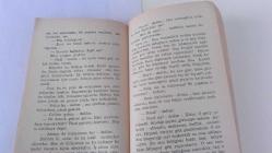 SAİT FAİK ABASIYANIK - HAVUZ BAŞI - SON KUŞLAR