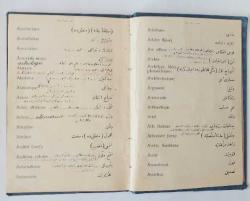 Istılahat-ı İlmiye Encümeni Tarafından Kamus-ı Felsefede Münderic Kelimat ve Tabirat İçin Va'z ve Tedvini Tensib Olunan Istılahat Mecmuasıdır / Fransızcadan Türkçeye