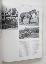 Somerville and Ross / The World of the Irish R. M.