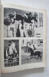 Horses and Horsemanship Through the Ages