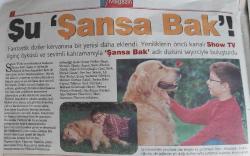 AKŞAM TELE MAGAZİN DERGİSİ-8-14 KASIM 2003-ŞENAY GÜRLER-MUSTAFA UĞURLU-SEZAİ ALTEKİN-BERK MÜRŞİT-ALİ ATAY-MEHMET GÜRHAN-NAZ ELMAS-AYÇA YALÇINÖZ-OKAN KASRACSAN-OYA İNCİ-YILDIRIM ÖCEK-DESTAN BATMAZ-ZİYA KÜKÜRT-IŞIK ÖZDEN-ZERRİN ÖZER -YAŞAR-MÜNİRE ÖZBEY-TARIK PABUÇÇUOĞLU-BURHAN AYERİ-YAVUZ BİNGÖL-ATİİLA ENGİN-HAMDİ ALKAN