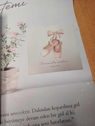 Kimsesizler Matemi Ciltli