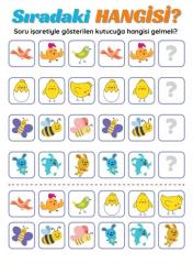 Okul Öncesi Yeni Nesil Matematik YAZ-SİL Kitabı