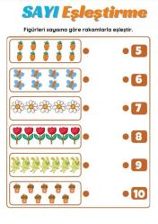 Okul Öncesi Yeni Nesil Matematik YAZ-SİL Kitabı