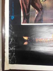 BARBAR CONAN 2, (Conan The Destroyer) 1984, SİNEMA FİLM AFİŞİ / POSTERİ - BÜYÜK BOY - ORİJİNAL - 100 X 68 cm EBADINDA - Original Turkish Big Size Movie Poster - Richard Fleischer, Roy Thomas, Stanley Mann, Arnold Schwarzenegger, Sarah Douglas, Grace Jones, Wilt Chamberlain, Tracey Walter, Mako, Olivia d'Abo, Jeff Corey, Pat Roach, Sven-Ole Thorsen, Bruce Fleischer, Ferdinand Mayne,