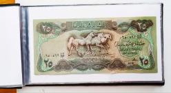 40 Kapasiteli Kağıt Para Albümü Görseldeki Banknotlar dahildir.