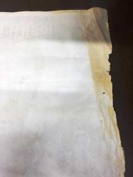 ÇIPLAK YÜZ, 1984, (The Naked Face) FİLM AFİŞİ / POSTERİ - BÜYÜK BOY - ORİJİNAL - 100 X 67 cm EBADINDA - Original Turkish Big Size Movie Poster - Bryan Forbes,  Sidney Sheldon, Bryan Forbes,  Roger Moore, Rod Steiger, Elliott Gould, Art Carney, Anne Archer, David Hedison, Deanna Dunagan, Ron Parady, Dick Sollenberger, James Spinks, John Kapelos