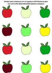 Okul Öncesi KODLAMA Etkinlikleri (Elma-Ağaç)