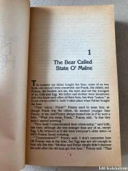 The Hotel New Hampshire - John Irving - Pocket Books - İngilizce Kitap (New Hampshire Oteli)