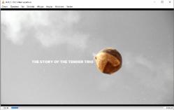 tanrı kent  dvd (PC'de denenmiştir/izlenmiştir) (city of god)